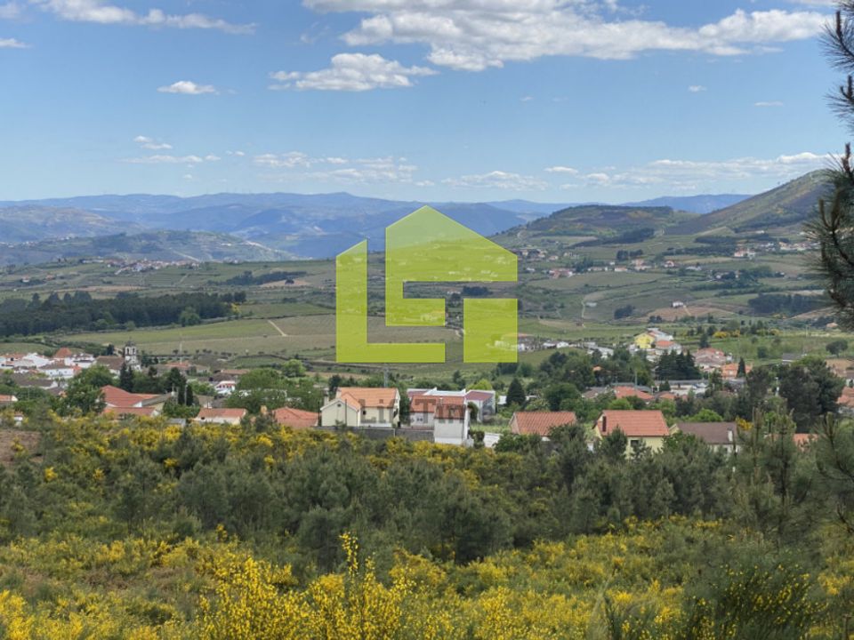 Działka: Sabrosa, Vila Real – zdjęcie 2