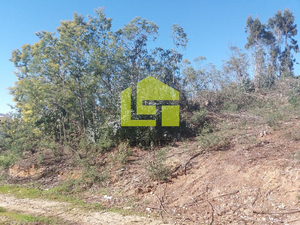 Helårsgrund i Coimbra, Coimbra - foto 3