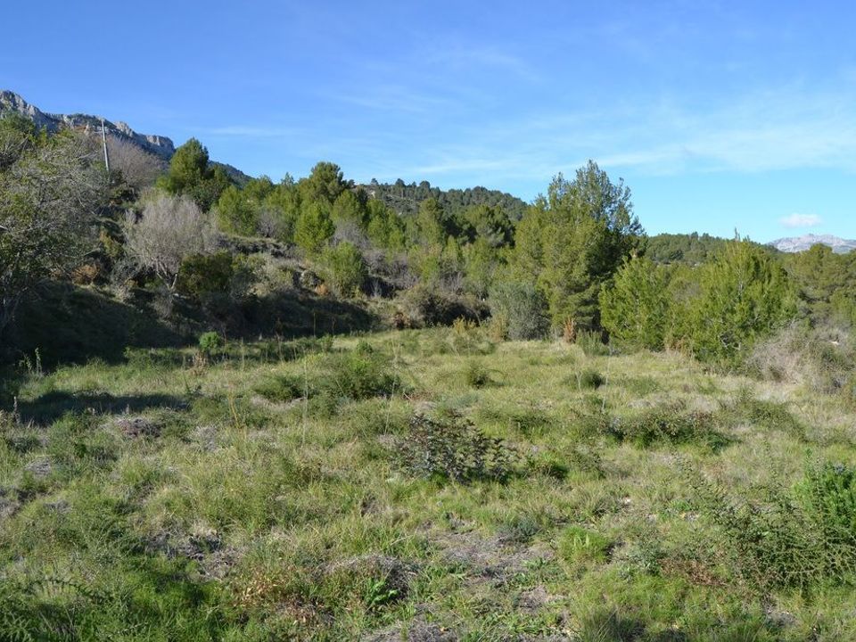 Terra a Guadalest, Alicante - foto 2
