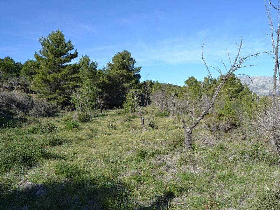 Terra a Guadalest, Alicante - foto 4