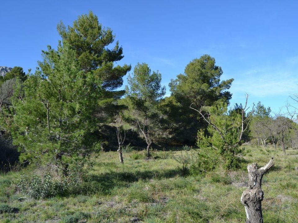 Terra a Guadalest, Alicante - foto 5