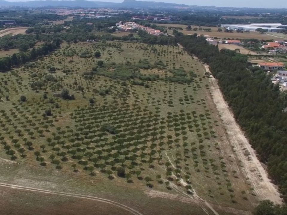 Herregård i Ermidas do Sado, Setubal - bilde 4