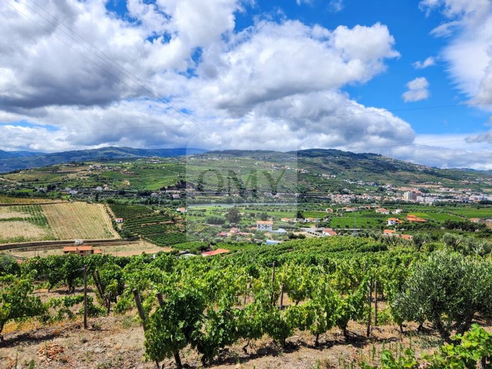 Gård i Lamego, Viseu - bilde 1
