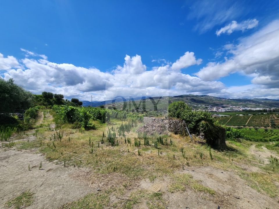 Gård i Lamego, Viseu - bilde 4