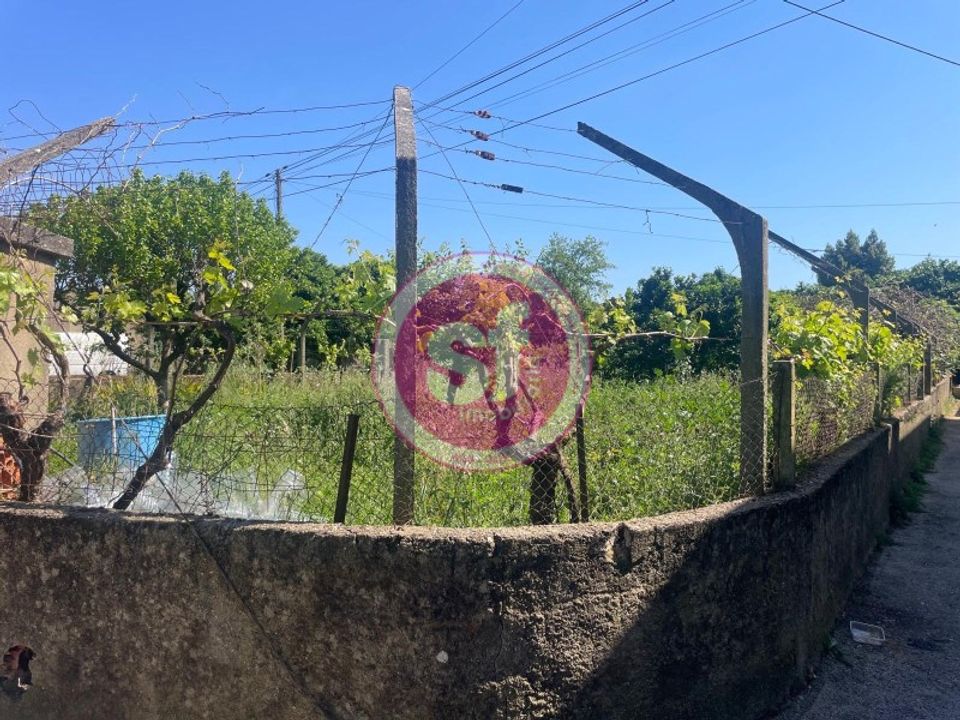 Terreno en Anadia, Aveiro - foto 4