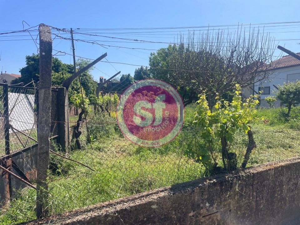 Terreno en Anadia, Aveiro - foto 5