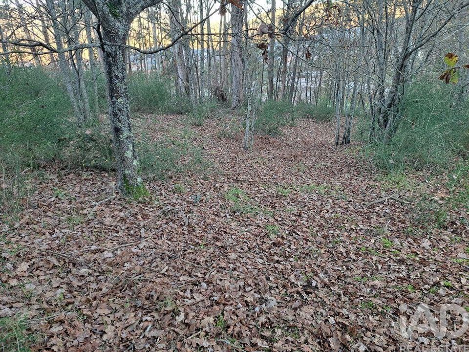 Helårsgrund i Vila Verde, Braga - foto 4
