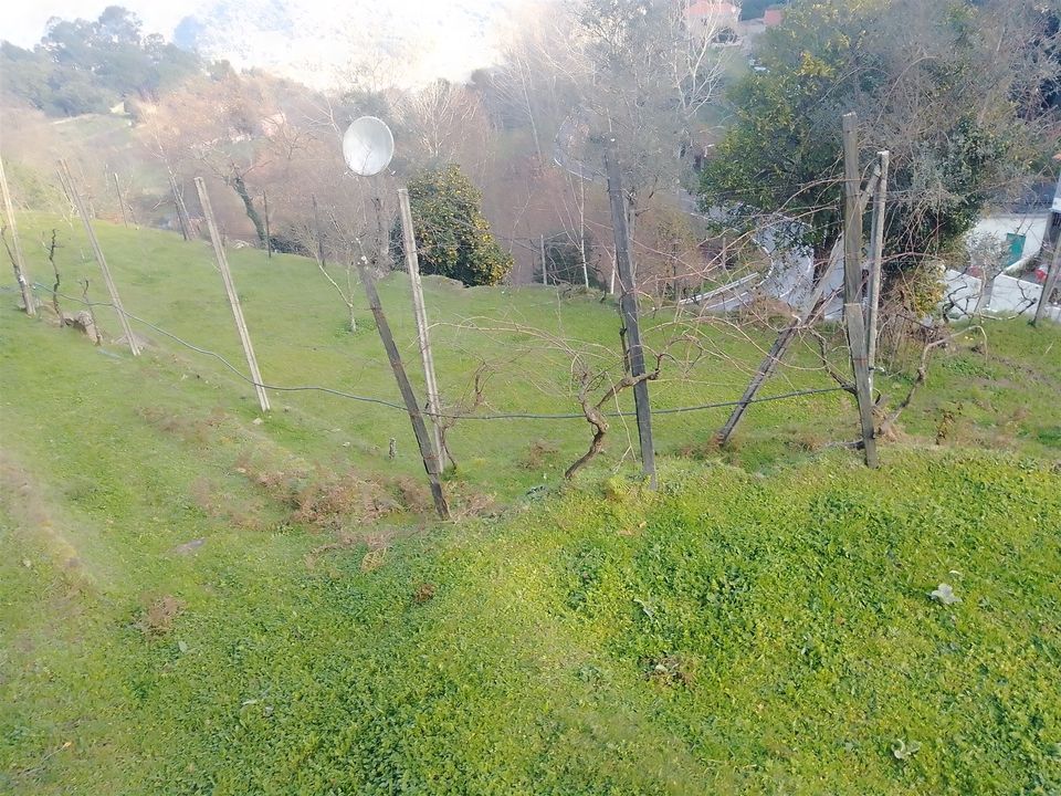 Helårsgrund i Cinfaes, Viseu - foto 1