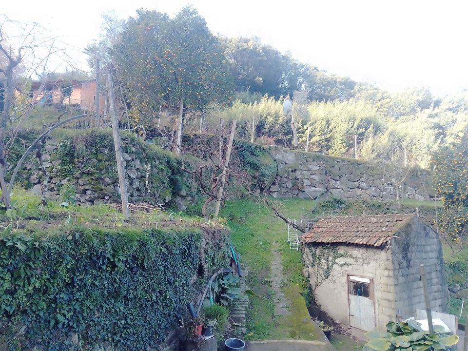 Helårsgrund i Cinfaes, Viseu - foto 4