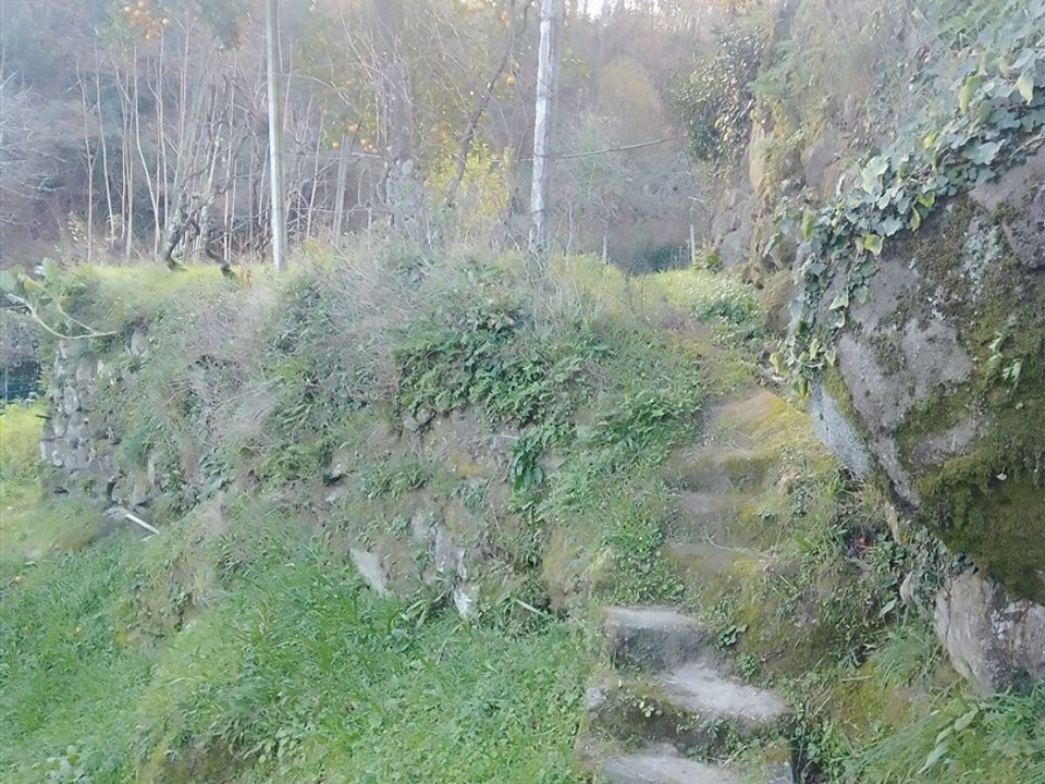 Helårsgrund i Cinfaes, Viseu - foto 5