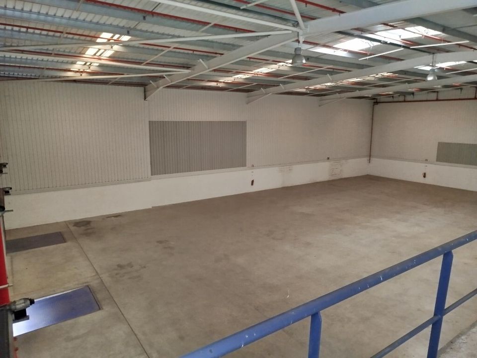 Commercial property in Benavente, Santarem - photo 4