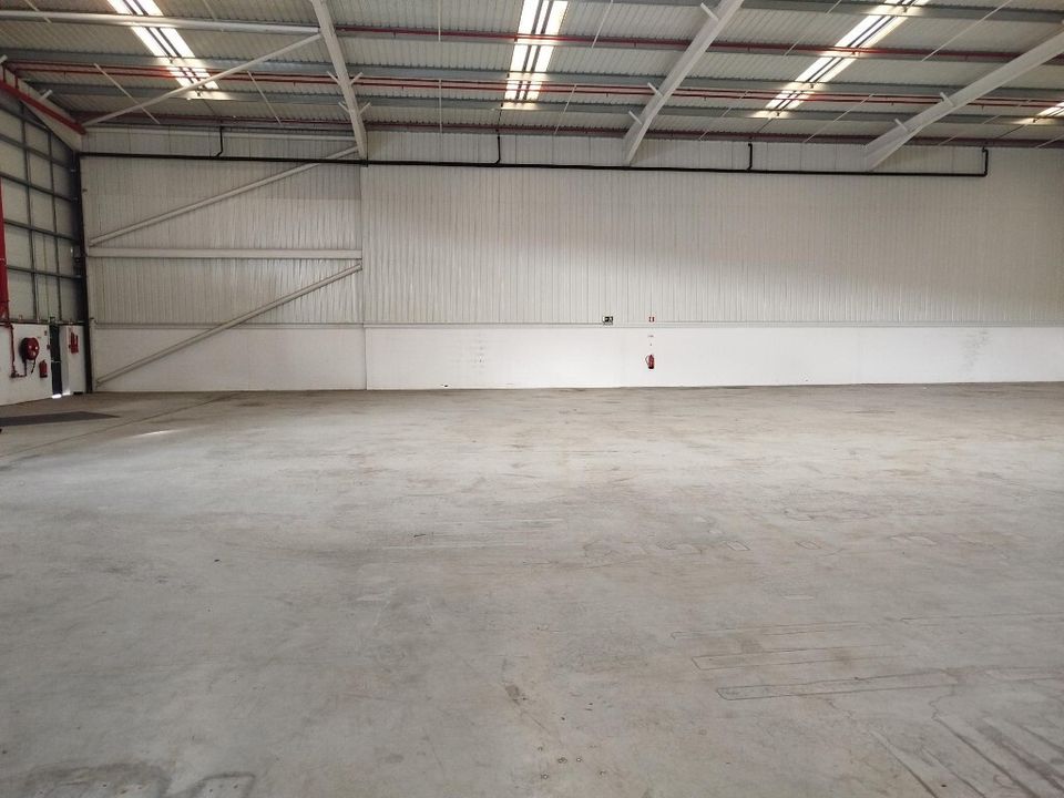 Commercial property in Benavente, Santarem - photo 1