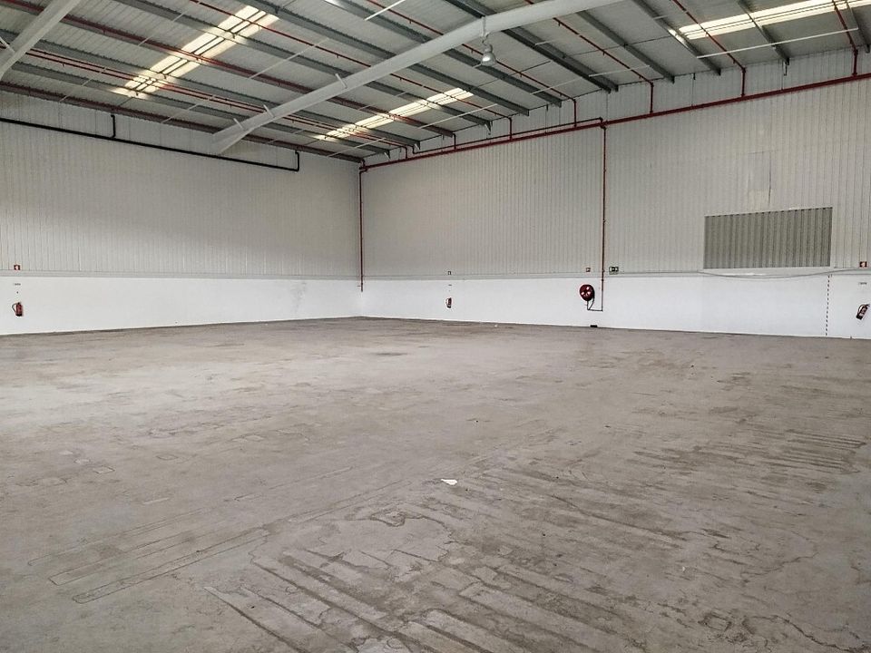 Commercial property in Benavente, Santarem - photo 3