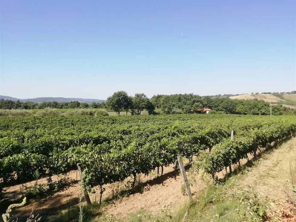 Farm hus i Sorano, Grosseto - foto 1