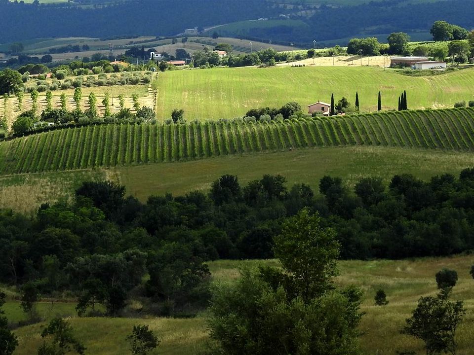 Farm hus i Scansano, Grosseto - foto 1