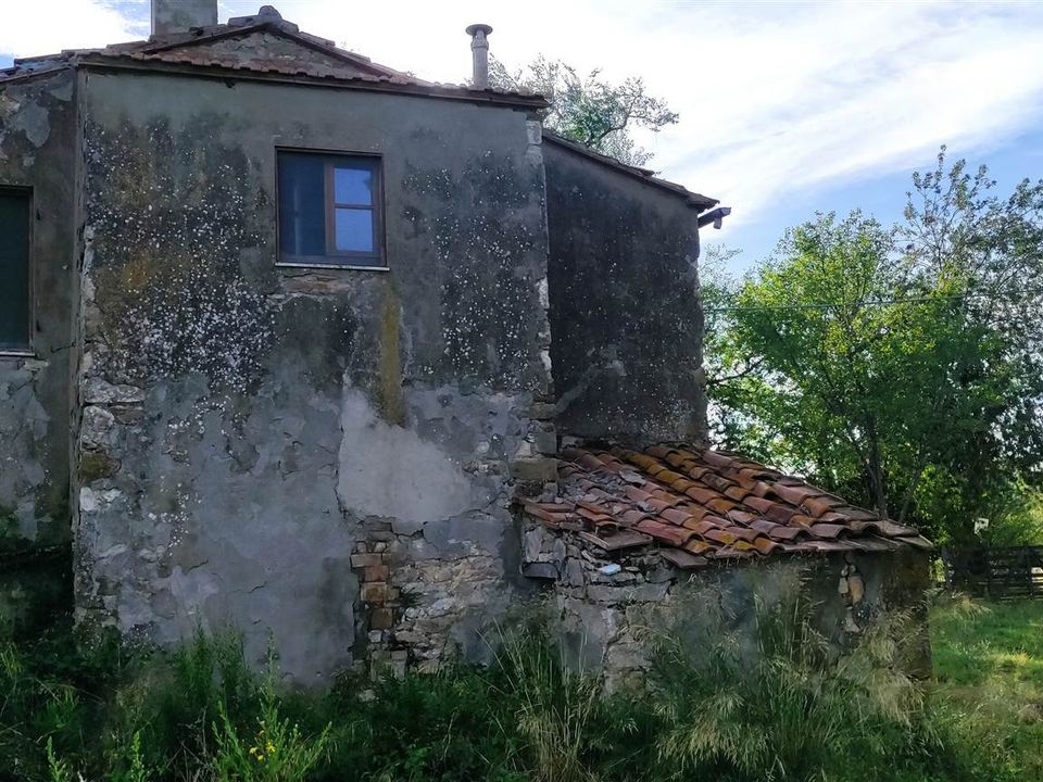 Farm hus i Scansano, Grosseto - foto 3