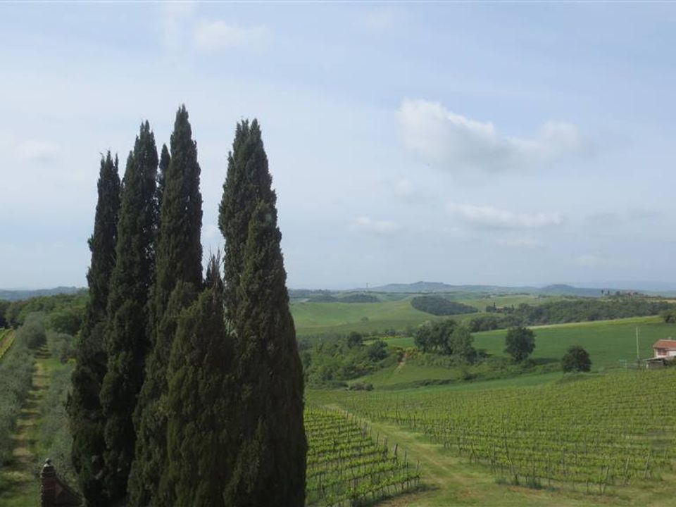 Villa i Castelnuovo Berardenga, Siena - foto 5