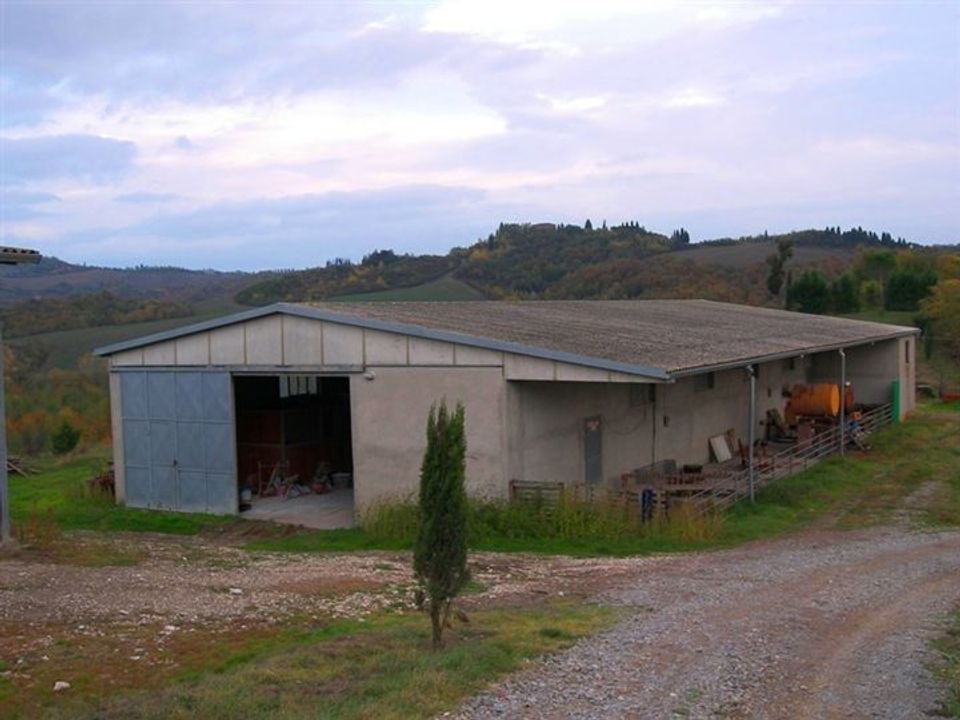 Farm hus i Asciano, Siena - foto 5