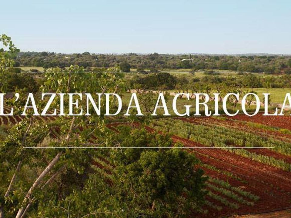 Siedlisko: Capalbio, Grosseto – zdjęcie 1