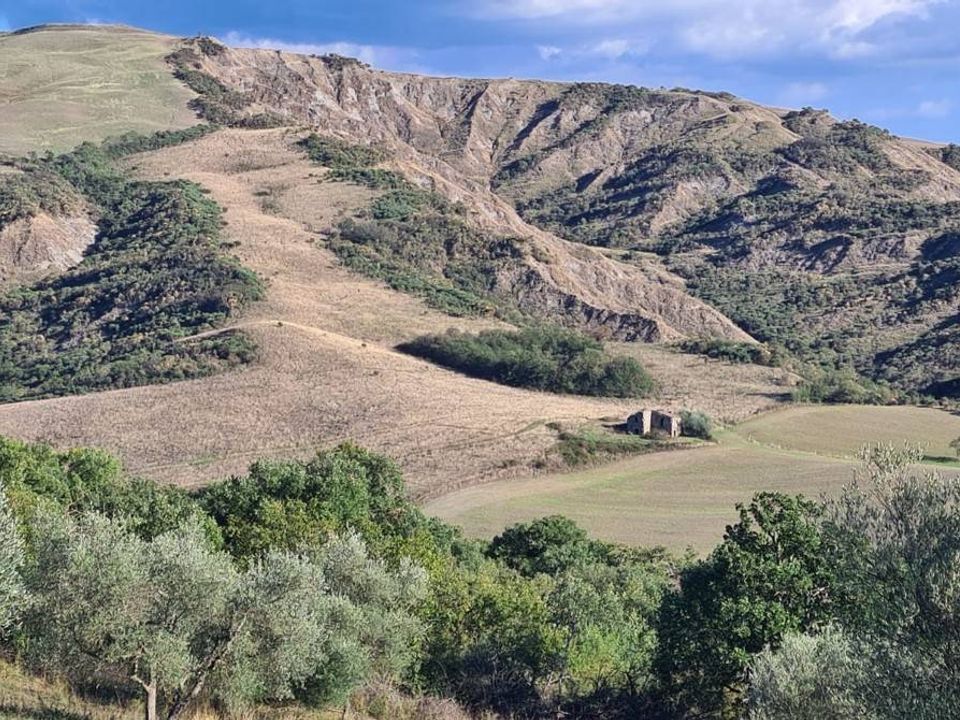 Farm hus i Radicofani, Siena - foto 1