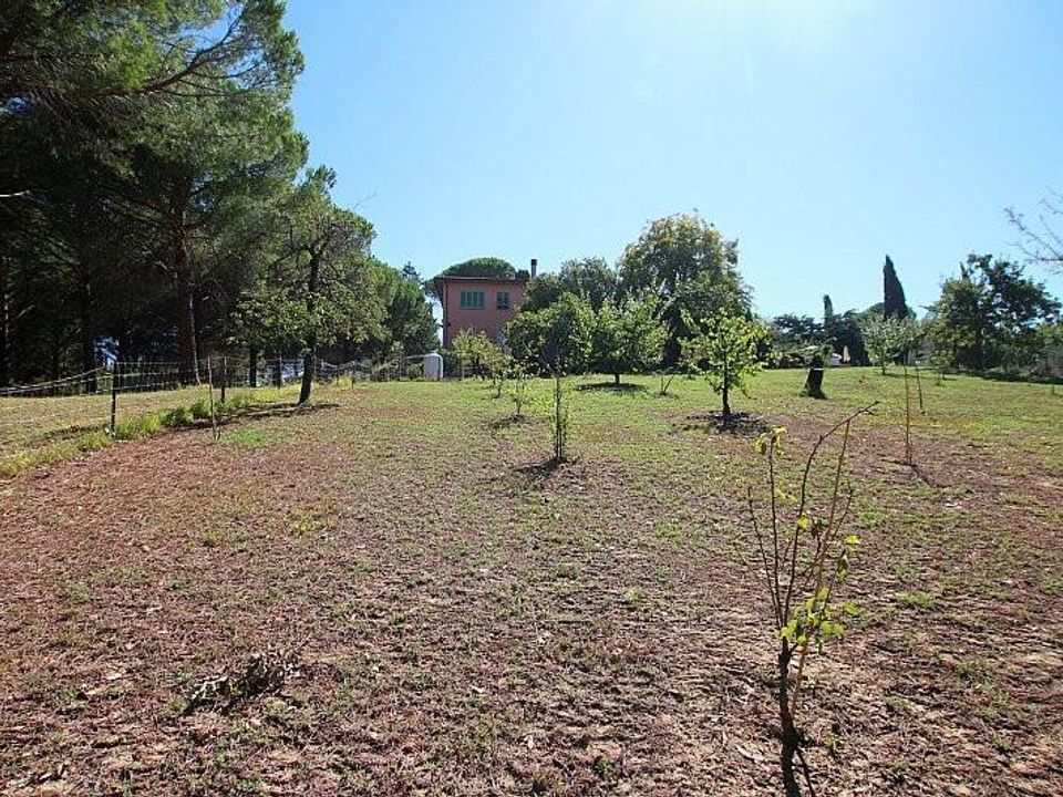 Farm hus i Terricciola, Pisa - foto 5