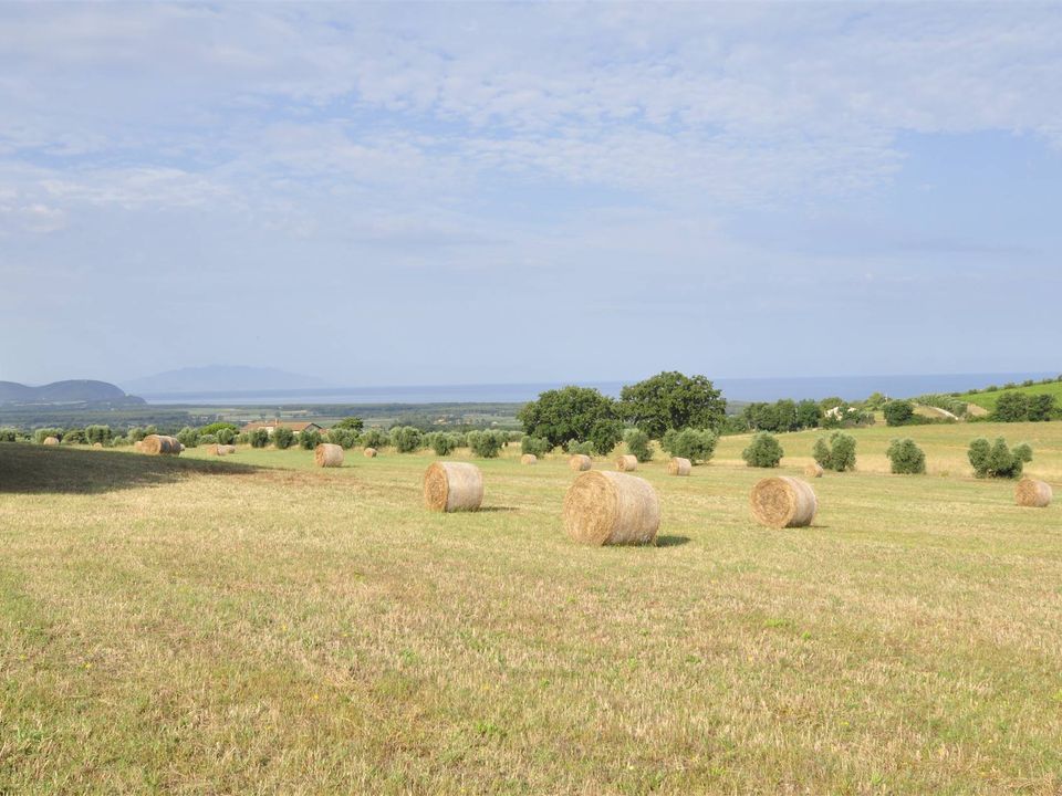 Farm hus i Campiglia Marittima, Livorno - foto 1