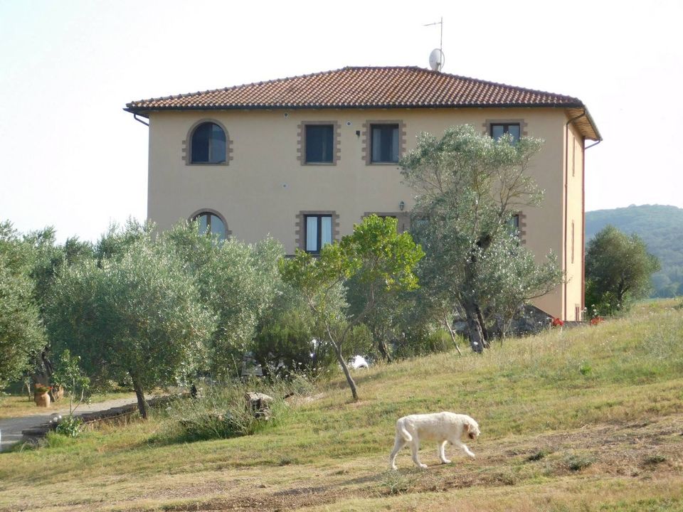 Farm hus i Civitella Paganico, Grosseto - foto 1