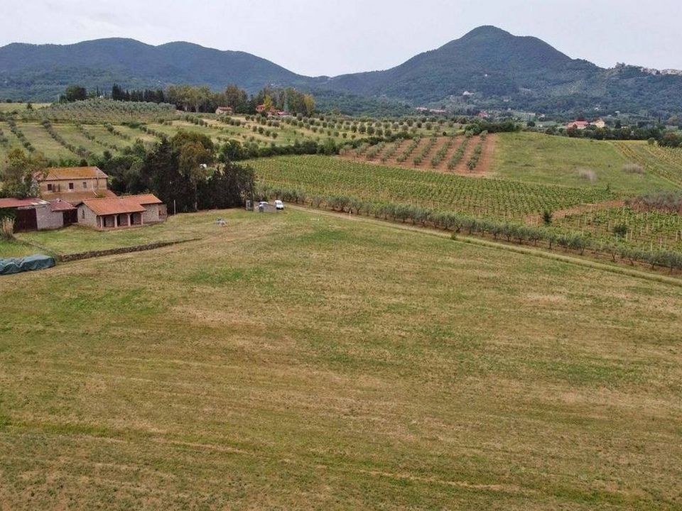 Farm hus i Scarlino, Grosseto - foto 4