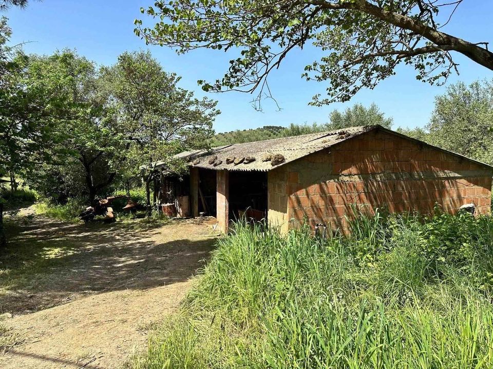 Farm hus i Roccastrada, Grosseto - foto 3