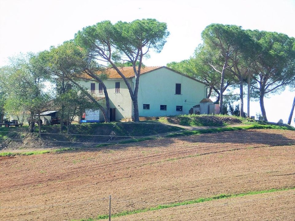 Farm hus i Roccastrada, Grosseto - foto 1