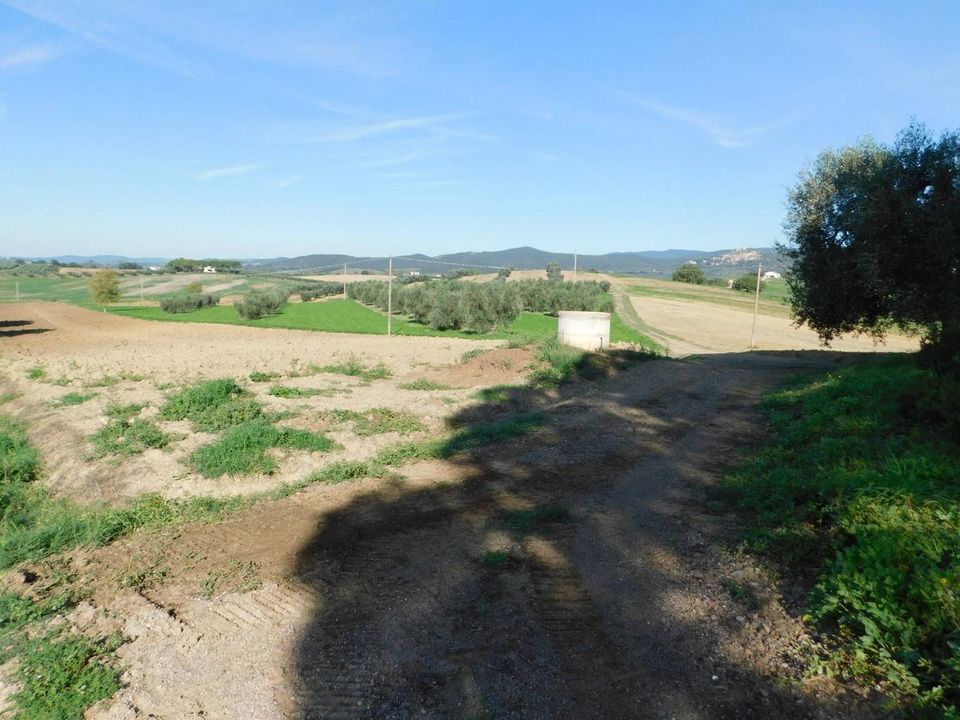 Farm hus i Roccastrada, Grosseto - foto 2