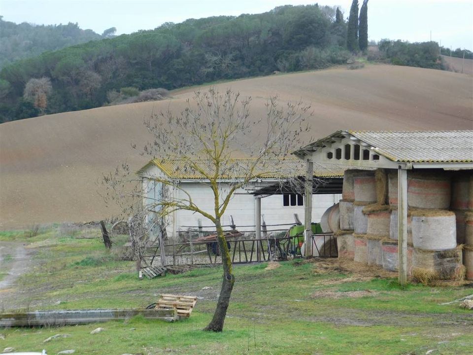 Farm hus i Gavorrano, Grosseto - foto 1