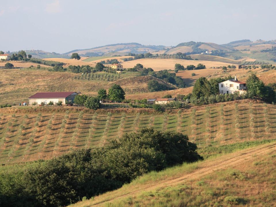 Farm hus i Campagnatico, Grosseto - foto 2