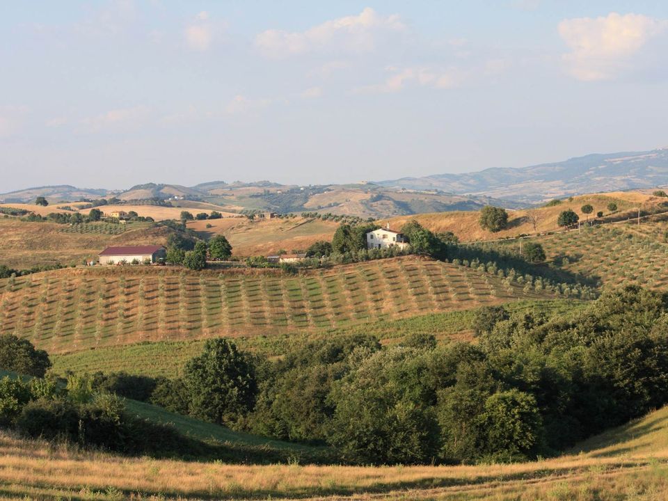 Farm hus i Campagnatico, Grosseto - foto 3