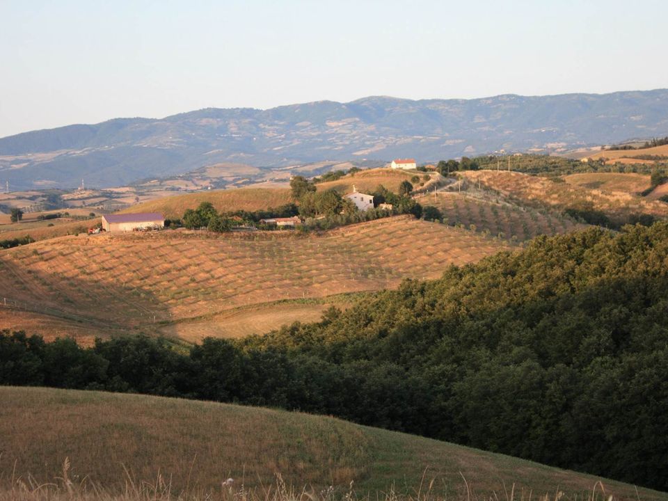 Farm hus i Campagnatico, Grosseto - foto 4