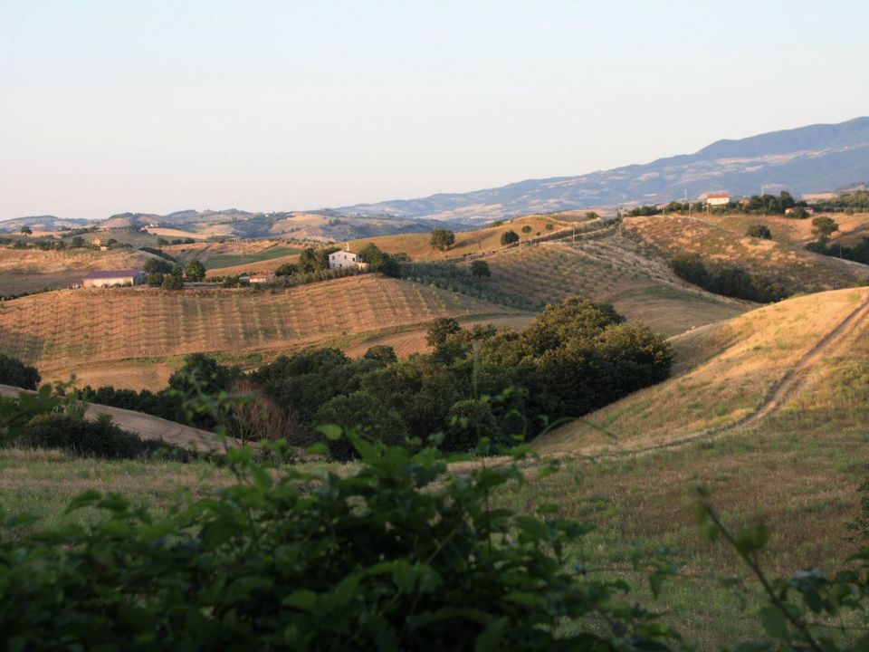 Farm hus i Campagnatico, Grosseto - foto 5