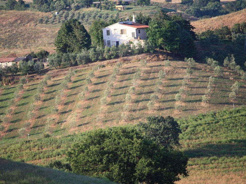 Farm hus i Campagnatico, Grosseto - foto 1