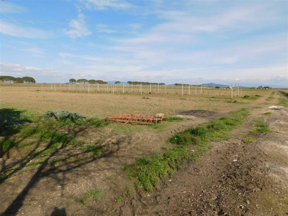 Farm hus i Grosseto, Grosseto - foto 1