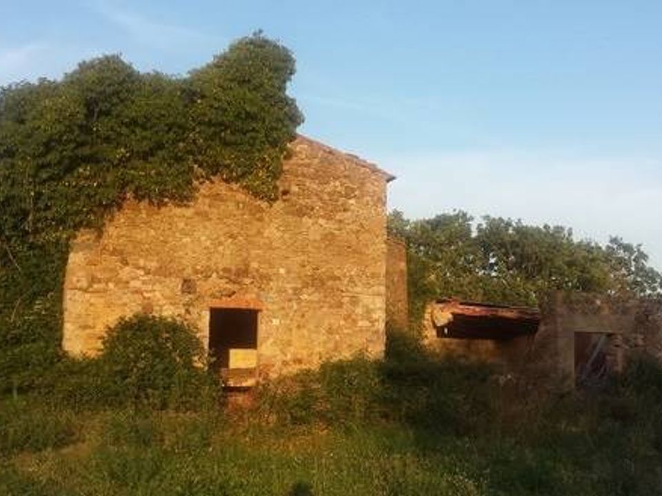 Farm hus i Campagnatico, Grosseto - foto 5