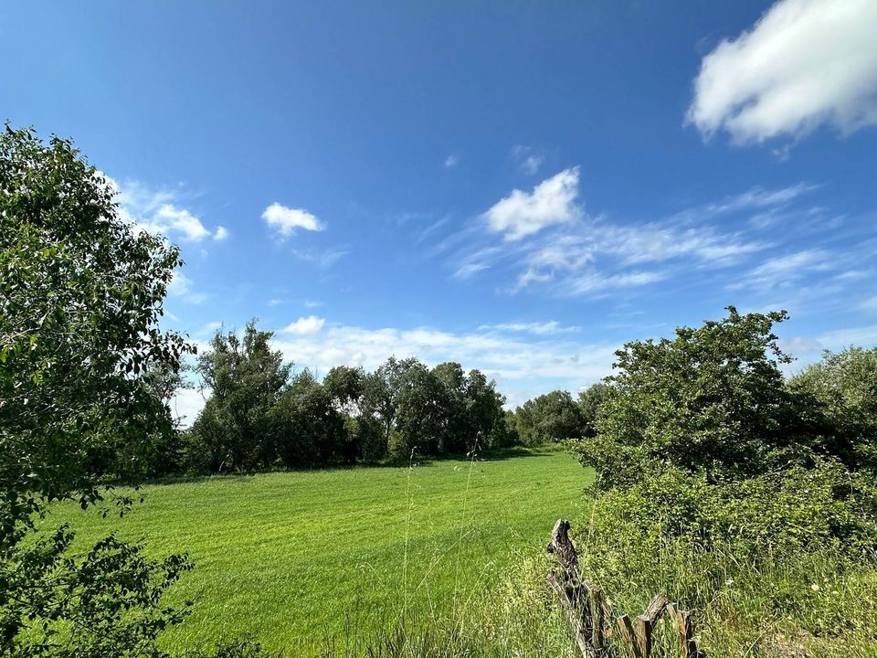 Farm hus i Grosseto, Grosseto - foto 4