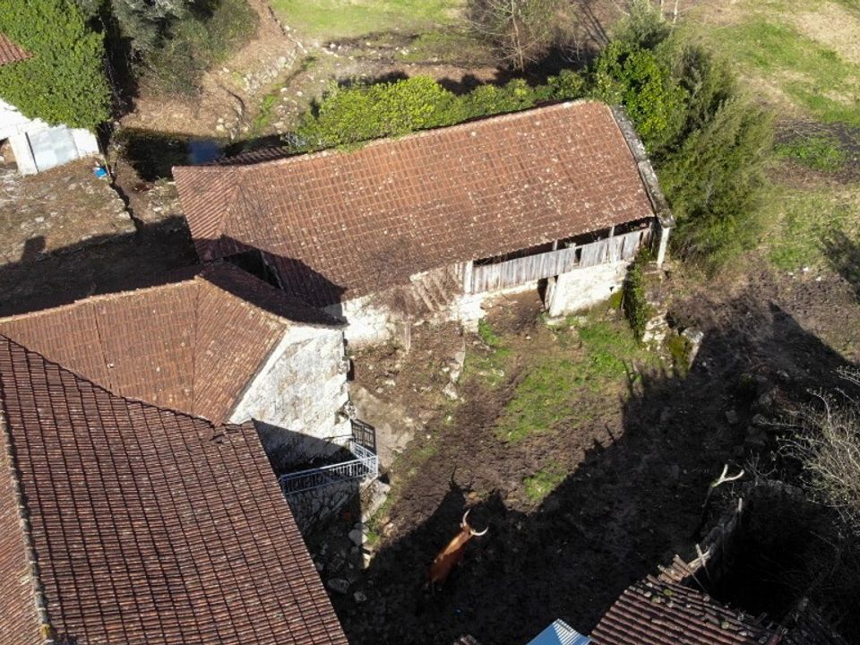 Farm i Vieira do Minho, Braga - foto 3