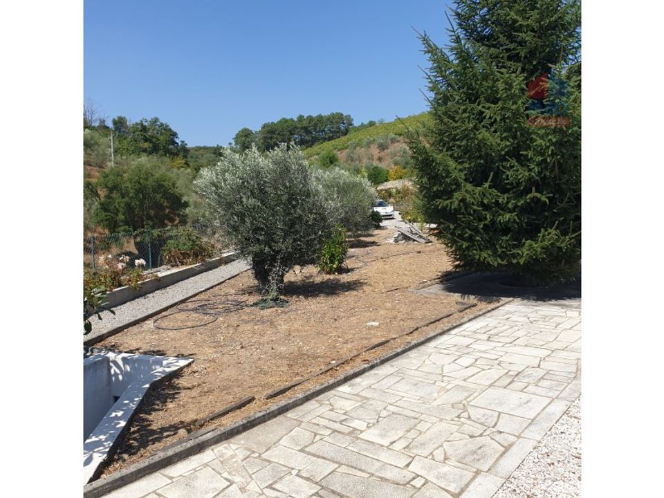 Farm i Vila Real, Vila Real - foto 5