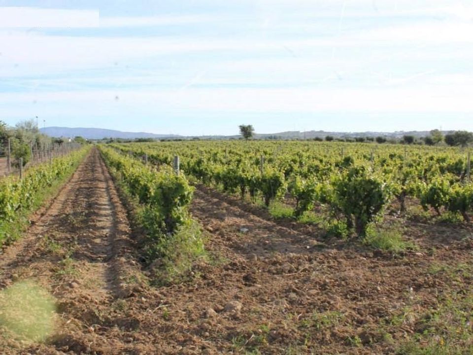 Farm hus i Redondo, Evora - foto 1
