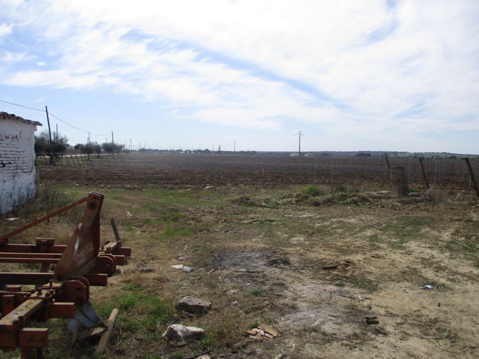 Farm hus i Redondo, Evora - foto 4