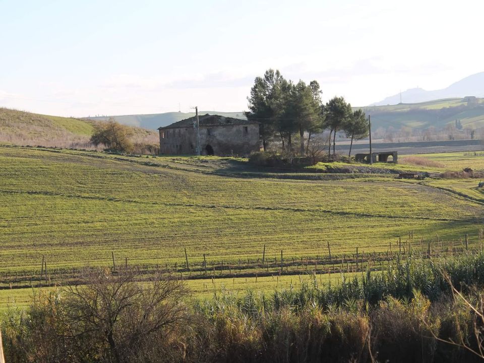 Villa i Lajatico, Pisa - foto 2