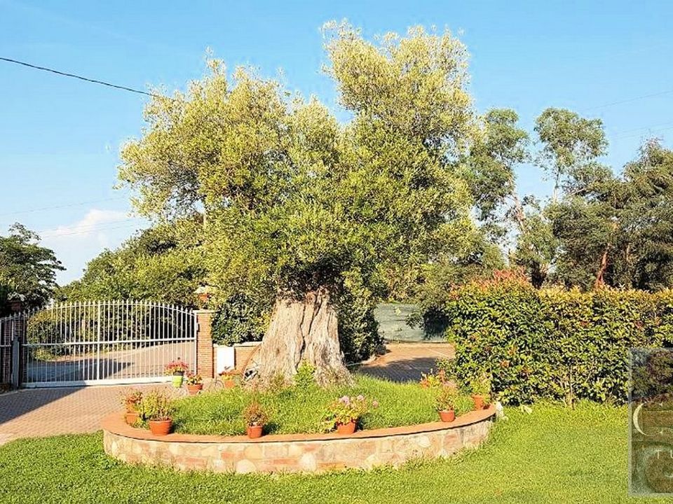 Villa i Lucca, Lucca - foto 5