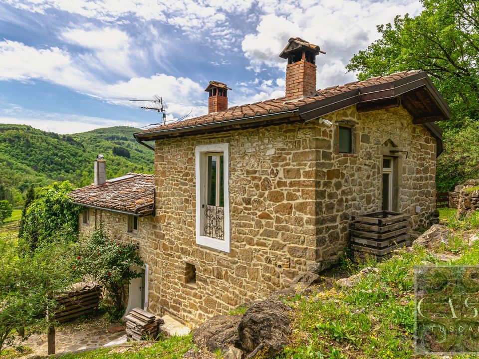 Landejendom i Poppi, Arezzo - foto 5