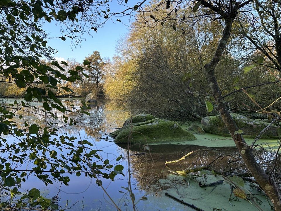 Helårsgrund i Chaillé-sous-les-Ormeaux, Vendee - foto 1