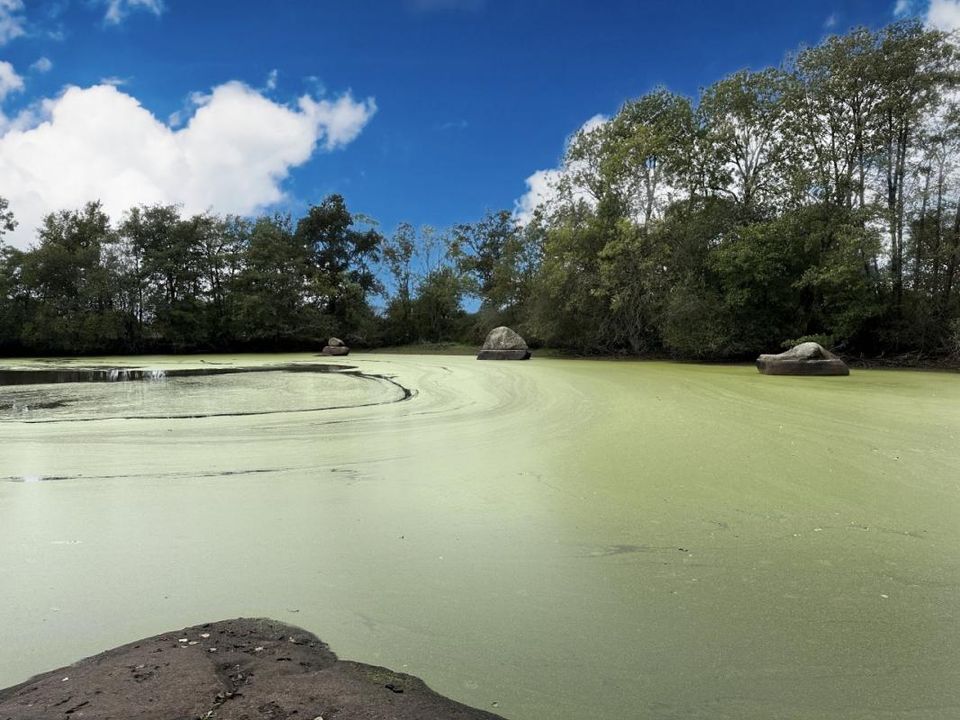 Helårsgrund i Chaillé-sous-les-Ormeaux, Vendee - foto 2