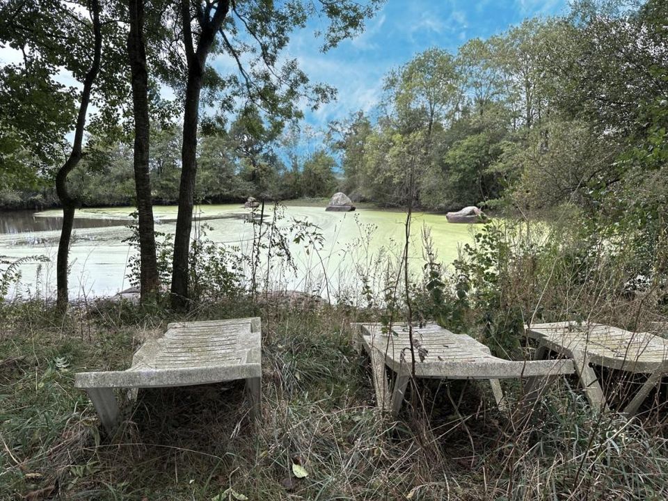 Helårsgrund i Chaillé-sous-les-Ormeaux, Vendee - foto 3